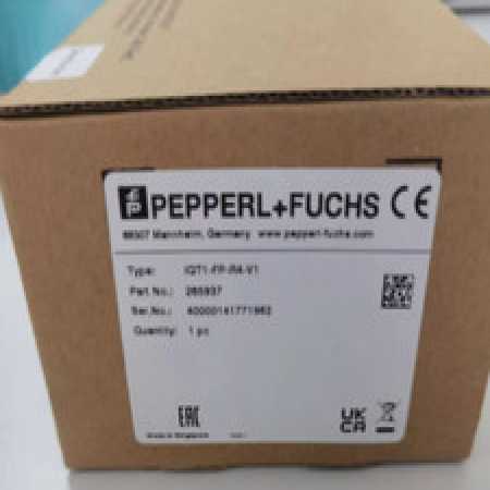 PEPPEERLFUCHS IQT1-FP-R4-V1 read and write head